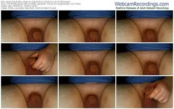 stripchat-tobydick13-11-19-2025-21-24-53