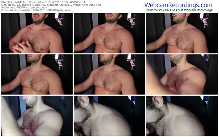 stripchat-frenzis61-11-19-2025-16-36-59