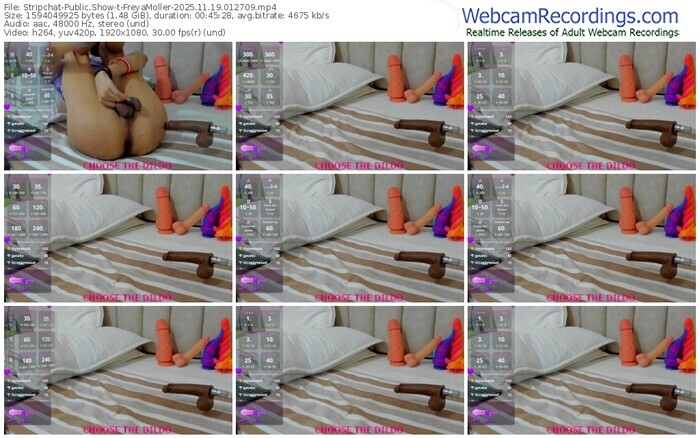 stripchat-freyamoller-11-19-2025-01-27-09