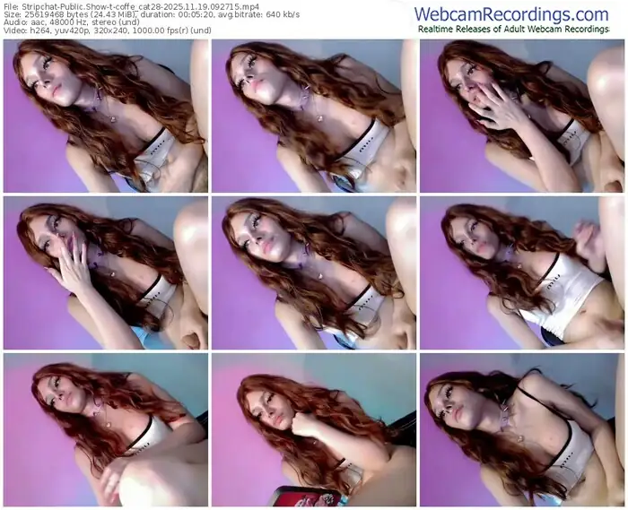 stripchat-coffe_cat28-11-19-2025-09-27-15