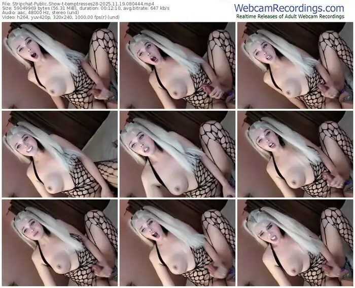 stripchat-temptresses28-11-19-2025-08-04-44