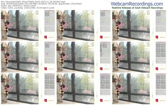 stripchat-bella_posh-11-20-2025-06-33-56