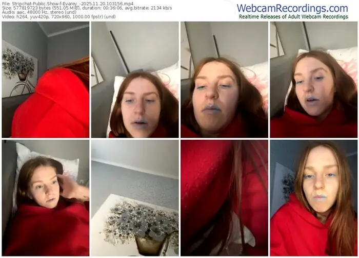 stripchat-evarey_-11-20-2025-10-31-56