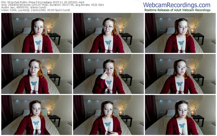 stripchat-krysadapp-11-20-2025-02-53-21