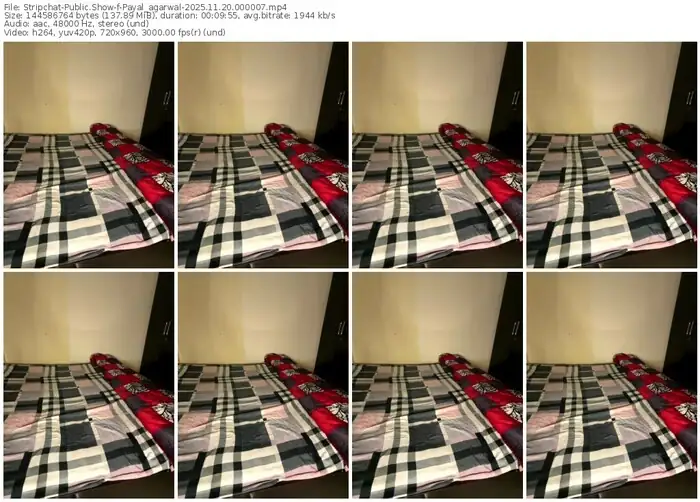 stripchat-payal_agarwal-11-20-2025-00-00-07