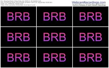 stripchat-shy_vivi-11-20-2025-16-22-02