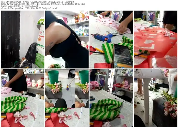 stripchat-vivienandclark-11-20-2025-16-41-52