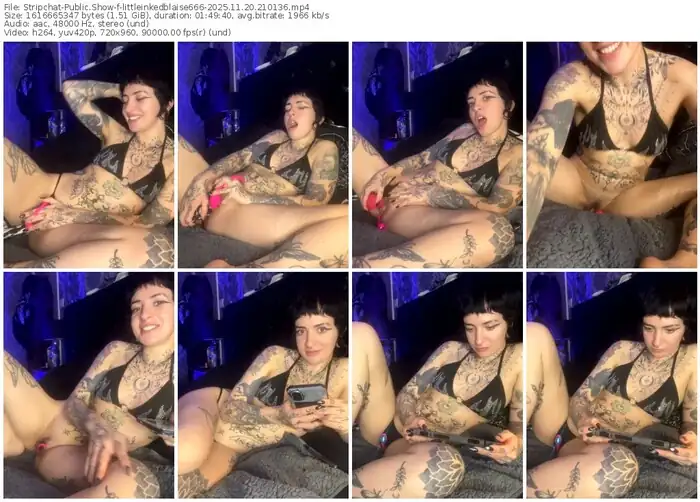 stripchat-littleinkedblaise666-11-20-2025-21-01-36