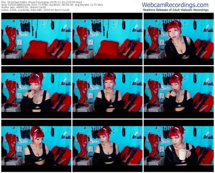 stripchat-mylygrey-11-20-2025-15-37-05