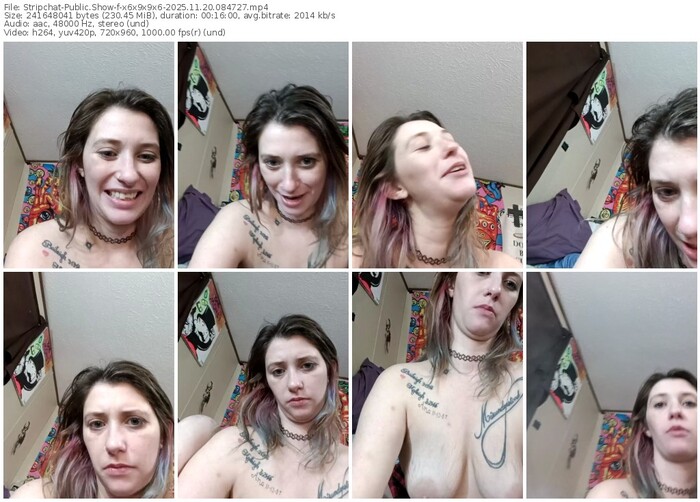 stripchat-x6x9x9x6-11-20-2025-08-47-27