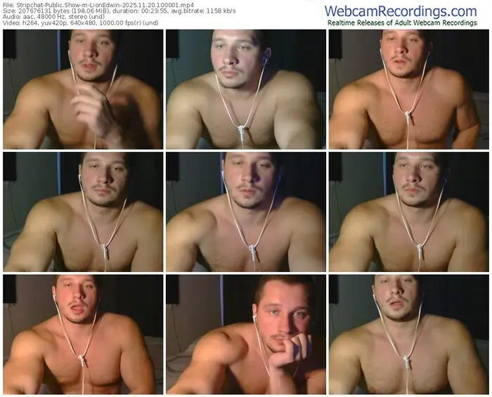 stripchat-lionedwin-11-20-2025-10-00-01