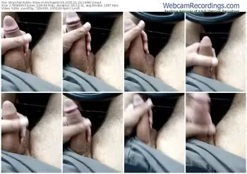 stripchat-michael9134-11-20-2025-14-08-13