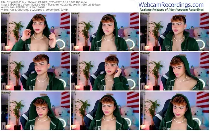 stripchat-prince_stev-11-20-2025-00-14-00