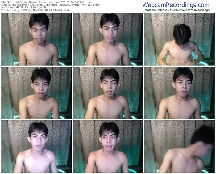 stripchat-urhotsilverboy-11-20-2025-06-09-45