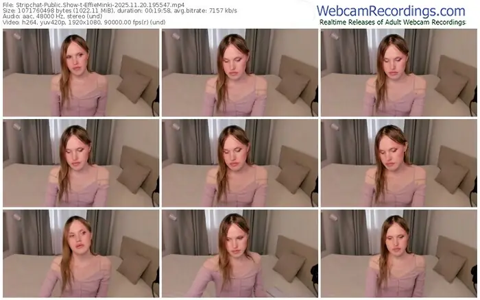 stripchat-effieminki-11-20-2025-19-55-47