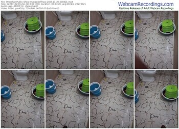 stripchat-usurpedthaw-11-20-2025-20-08-21