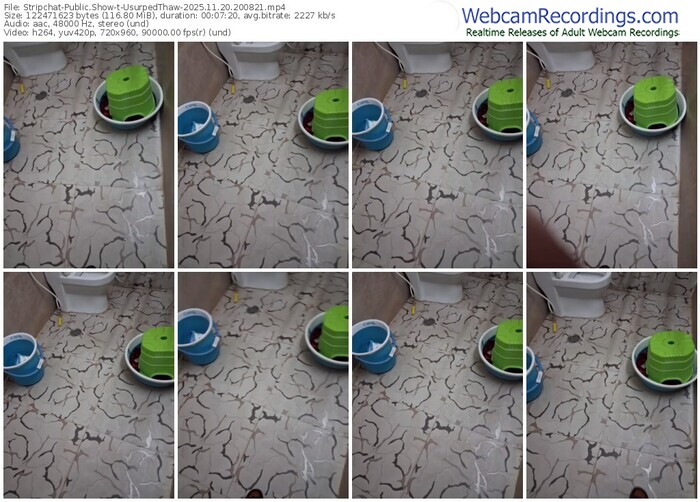 stripchat-usurpedthaw-11-20-2025-20-08-21