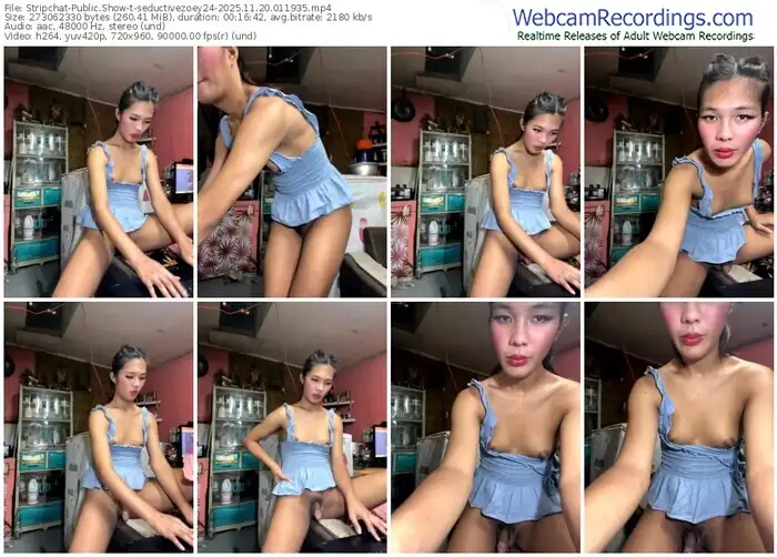 stripchat-seductivezoey24-11-20-2025-01-19-35