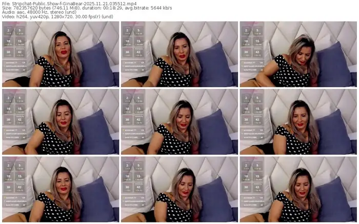 stripchat-ginabear-11-21-2025-03-55-12