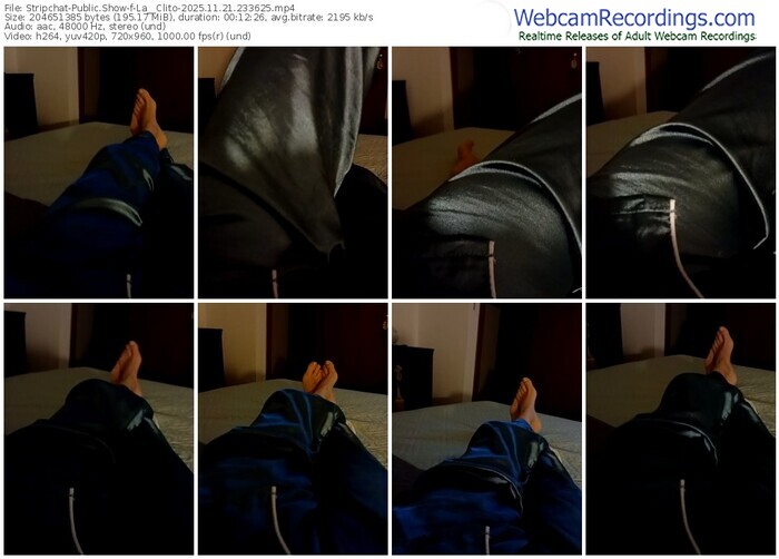 stripchat-la__clito-11-21-2025-23-36-25