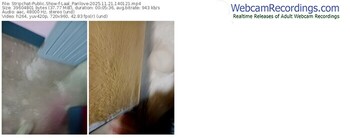 stripchat-laal_parilove-11-21-2025-14-01-21