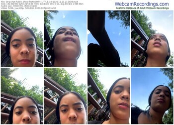 stripchat-naughty_little_18-11-21-2025-21-29-28