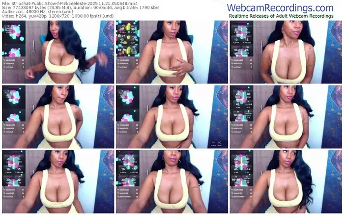 stripchat-pinkceeleste-11-21-2025-05-06-48