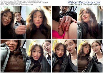 stripchat-snappyhappy-11-21-2025-13-17-01