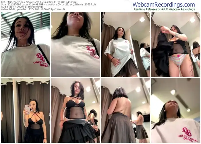 stripchat-vendimur-11-21-2025-04-19-40