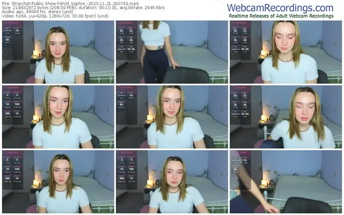 stripchat-wild_sophie_-11-21-2025-20-07-42
