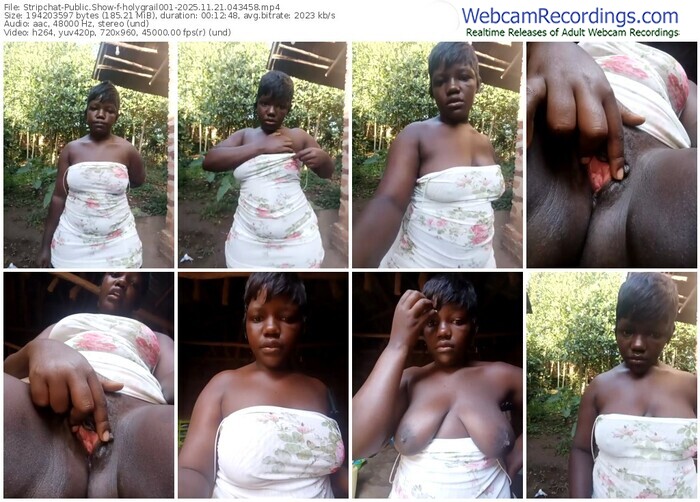 stripchat-holygrail001-11-21-2025-04-34-58