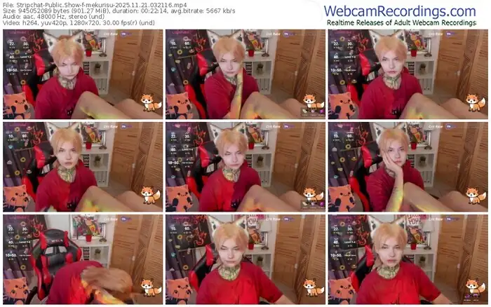stripchat-mekurisu-11-21-2025-03-21-16