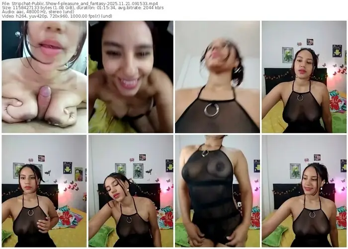 stripchat-pleasure_and_fantasy-11-21-2025-09-15-33