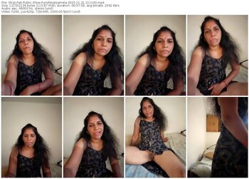 stripchat-profeserpamela-11-21-2025-11-11-40