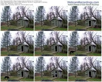 stripchat-sloppytopkins-11-21-2025-15-30-43