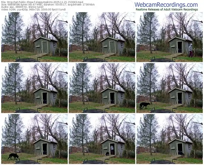 stripchat-sloppytopkins-11-21-2025-15-30-43
