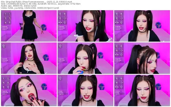stripchat-venomeowww__-11-21-2025-03-59-10