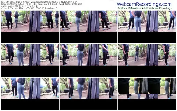 stripchat-venusandzeus@xh-11-21-2025-18-16-07