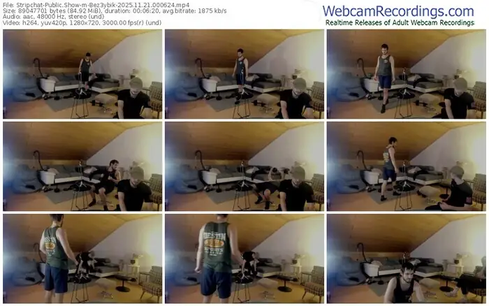 stripchat-bez3ybik-11-21-2025-00-06-24