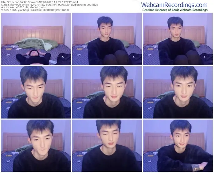 stripchat-n228-11-21-2025-19-22-37