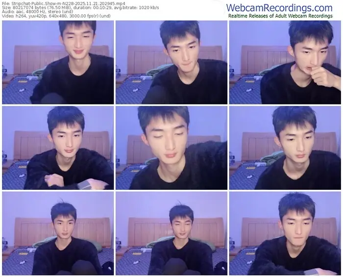 stripchat-n228-11-21-2025-20-29-45