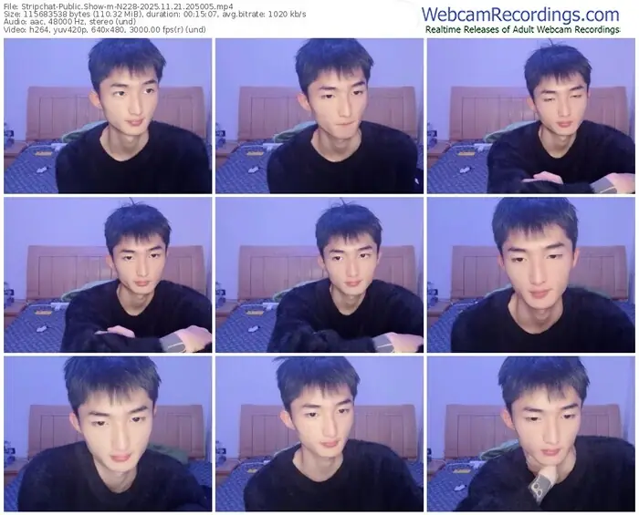 stripchat-n228-11-21-2025-20-50-05
