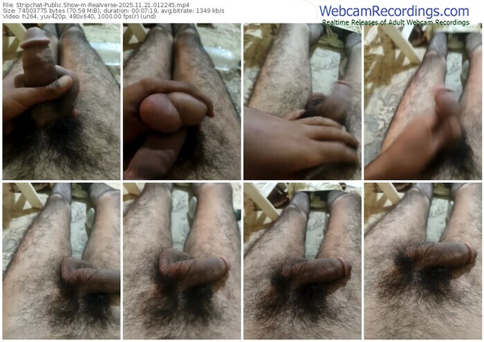 stripchat-realverse-11-21-2025-01-22-45