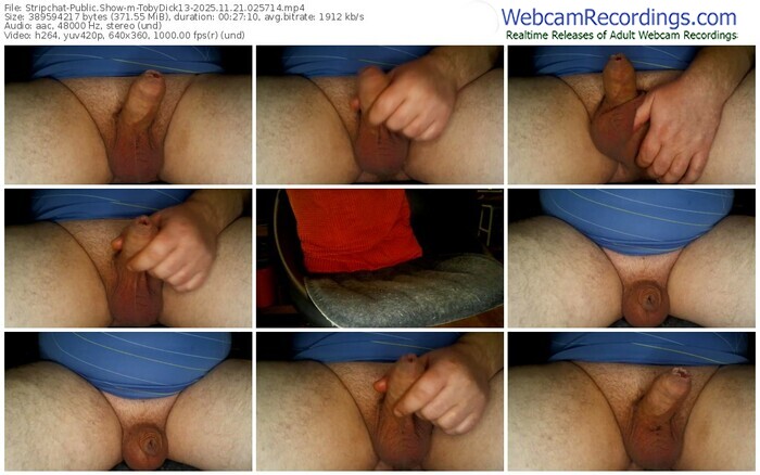 stripchat-tobydick13-11-21-2025-02-57-14
