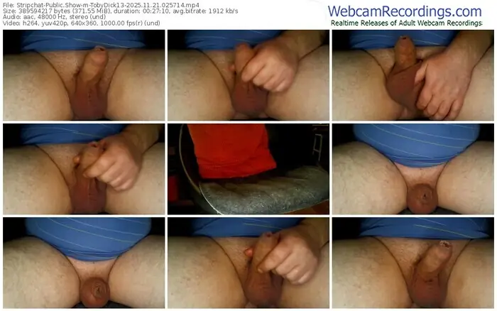 stripchat-tobydick13-11-21-2025-02-57-14