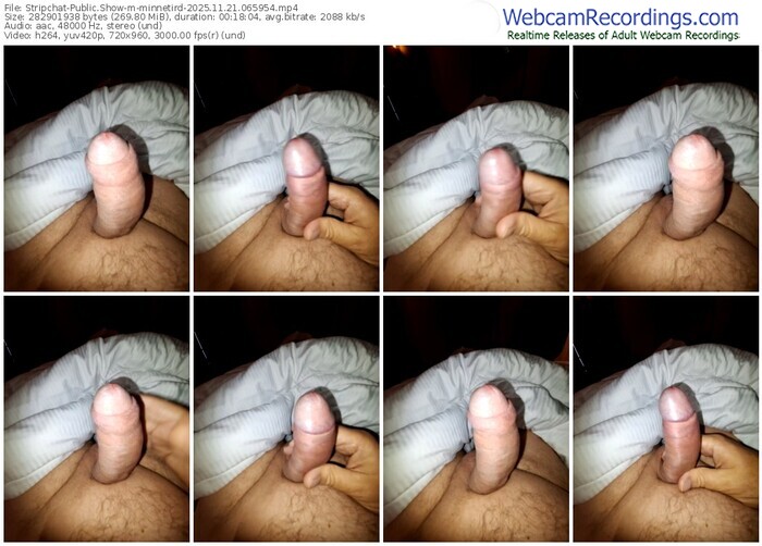 stripchat-minnetird-11-21-2025-06-59-54