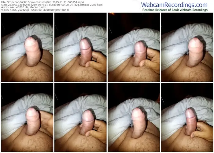 stripchat-minnetird-11-21-2025-06-59-54