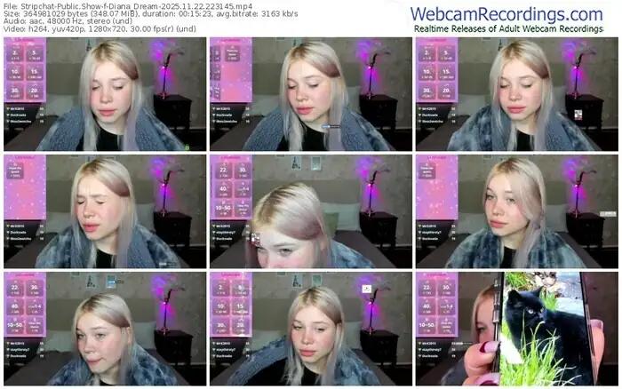 stripchat-diana_dream-11-22-2025-22-31-45