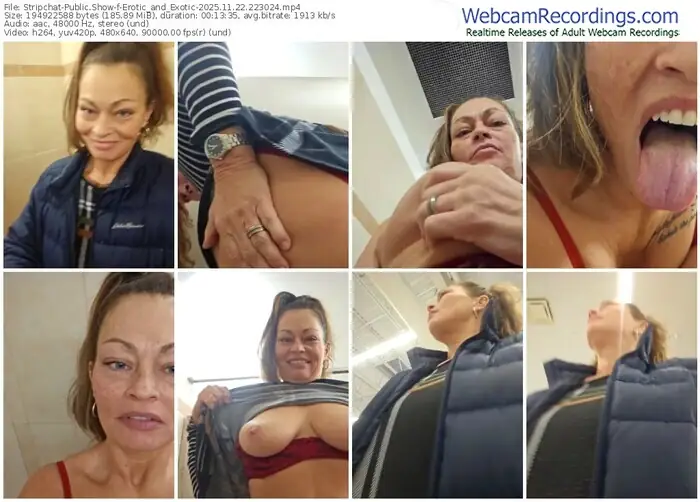 stripchat-erotic_and_exotic-11-22-2025-22-30-24