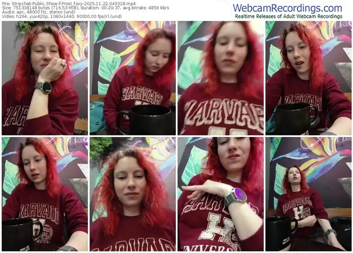 stripchat-frost_foxy-11-22-2025-04-33-18